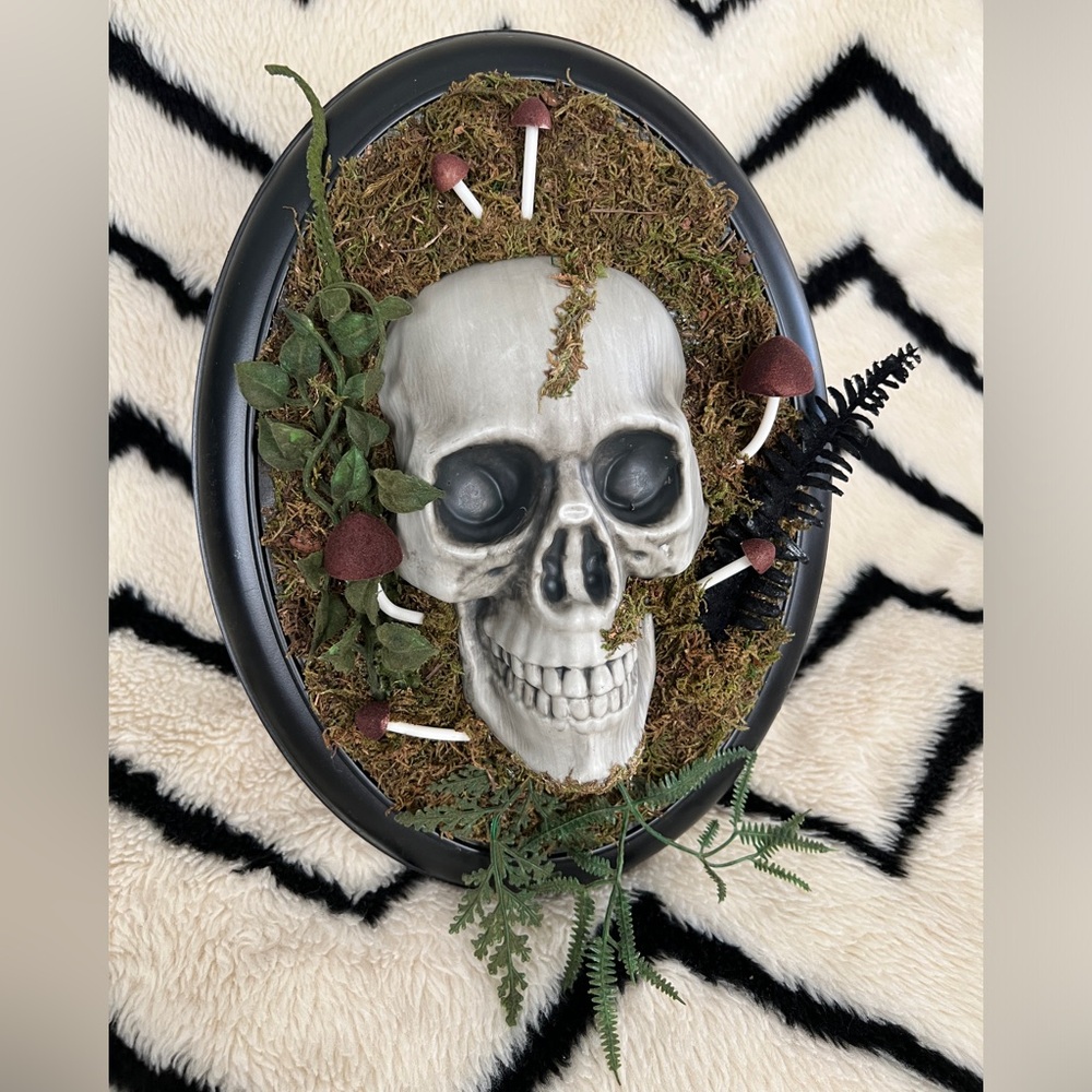 Skull, Moss and Mushrooms • HYDE and EEK• NWT See photos • 2025